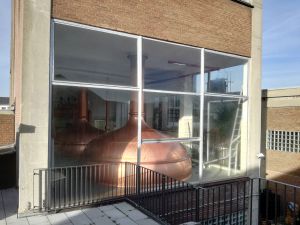 Feldschloesschen 002